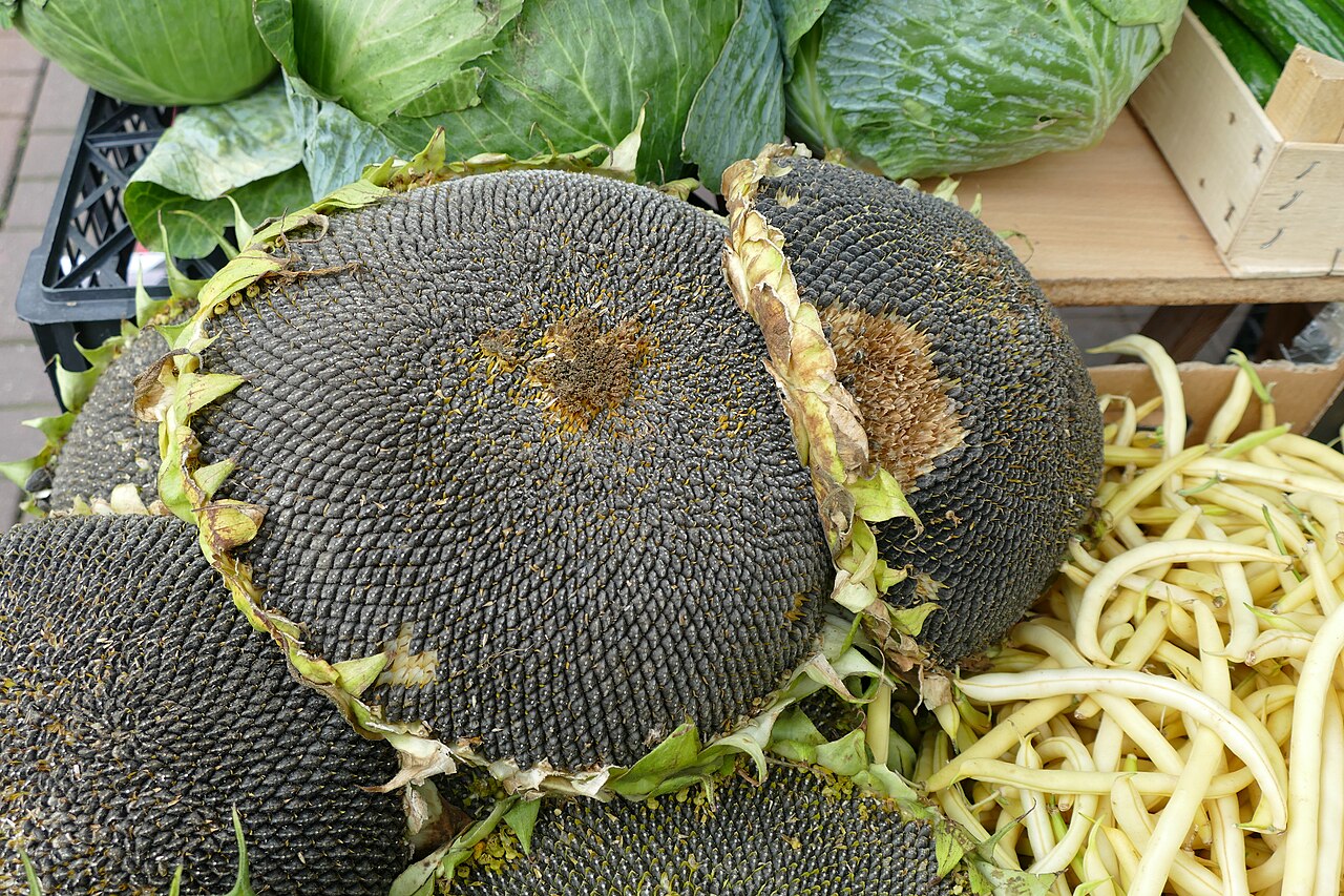Feed raw materials supplied by Kind Commodities