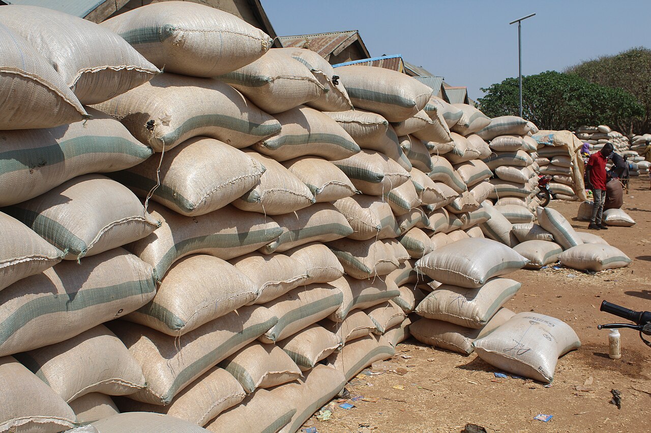 Grain market with sacks of maize in Africa